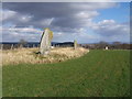 Standing stones at East Cult Farm