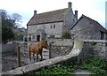 Church Farm, Clutton