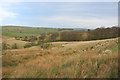 View towards stream valley at Boarsgrove