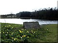 Barbara Heyes Lagoon, Bickerstaffe