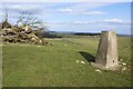 Triangulation pillar on the Weaver Hills