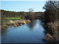 River Till, Winterbourne Stoke