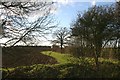 Farmland south of Poslingford