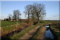 Footpath to Lynn