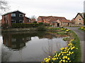 Ferrensby Village Pond