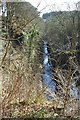 Mouse Water near Cleghorn