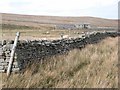 NY9507 : Leading Stead Bottom, Arkengarthdale by Oliver Dixon