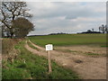 Arable land near Helperby