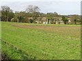 Shelvin Farm buildings through the trees