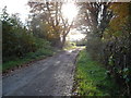 Farm lane at Enagh