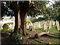 Graveyard, St Mary the Virgin, Higher Brixham