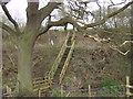 Footpath across a disused railway