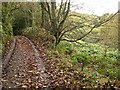 The upper reaches of Chapel Combe