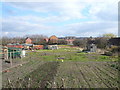 Danesmoor - Allotments off Guildford Lane