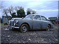 Classic car at Grove farm