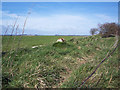 SU0116 : Roman Milestone on the Achling Dyke by Maigheach-gheal