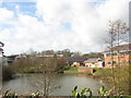 An ornamental lake