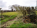 Farmland in March at Winterbottom