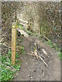 Great Bardfield Essex, Stream Crossing