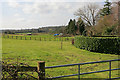 Fields behind the houses on the south side of The Street, Whiteparish