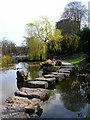 Pond, The Rookery, Preston Park