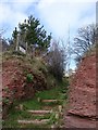 Footpath up to field, Galmpton Creek