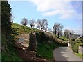 Field slopes down sharply to Galmpton