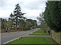 Beech Hill, Hadley Wood, looking east