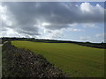 March field and sky