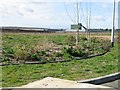 As yet undeveloped land at the Lakesview International Business Park