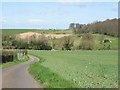 View across farmland towards Shelving Wood