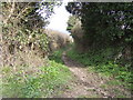 Bridleway to Trenoweth