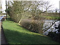 Pond by Roadside, Bush Green Farm