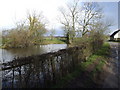 Large Pond at Wood Farm