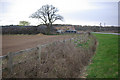 Farmland south of Tonge