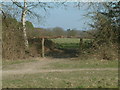 Rustic Barrier on Banstead Heath