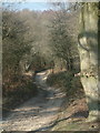 Bridleway near Red Lodge