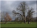 Parkland, Barton Abbey