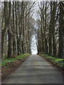 SP4623 : Driveway, Barton Lodge by Andrew Smith
