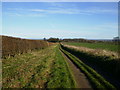 Track to railway just off the A64 road