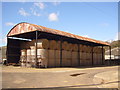 Neat Cover Bales, Combe Almer