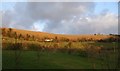 Selsley Common just before sunset