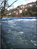 SX9192 : Head Weir, River Exe by Derek Harper