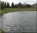 The Pool, Braunstone Park.