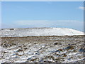 Harcles Hill from Holcombe Hill