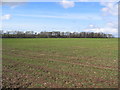 Littlethorpe Farmland