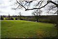 Farmland at Newbold