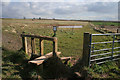 Common Hill Wood at Ibstock