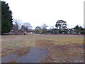 Abandoned nursery at Swainshill