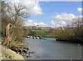 River Thames at Glover